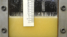 Foam generation