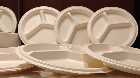 Faserguss-Teller aus 100 % Bagasse (Zuckerrorhreste)
