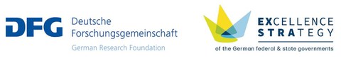 Förderlogo DFG Exzellenzcluster