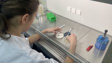 Eine Studentin beim Arbeiten mit Pilzen