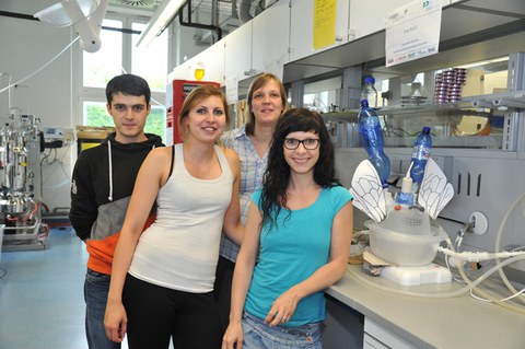 Team-CBP Fraunhofer