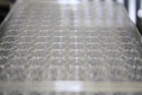 Mikrotiter