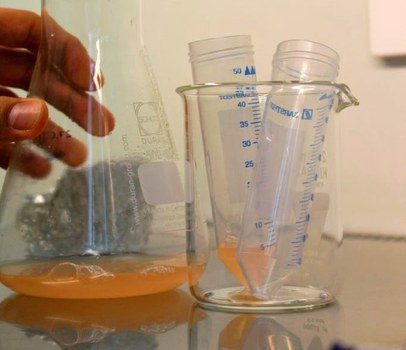 Shakingflask yeast