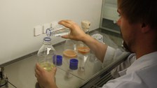 Sterile box Yeast