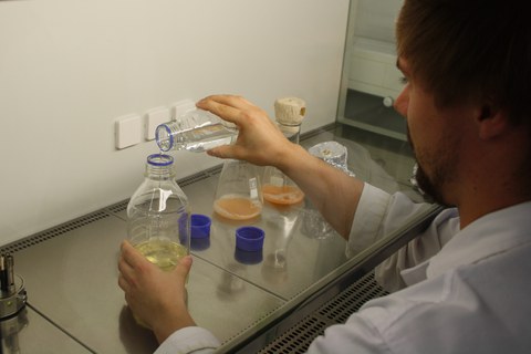 Sterile box Yeast