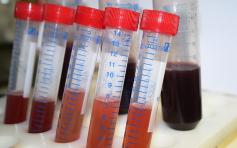 Extracted red Betalain