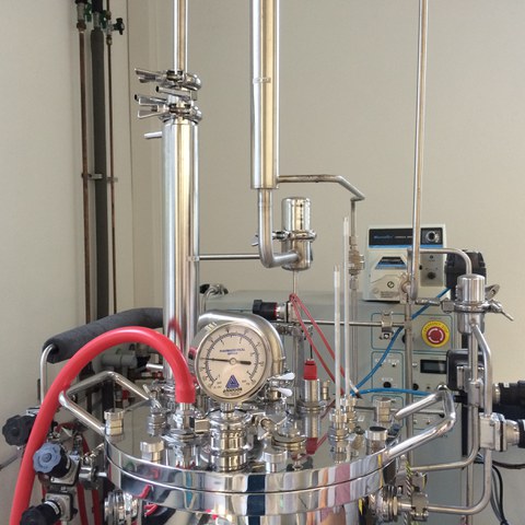 Bioreactor before cultivation