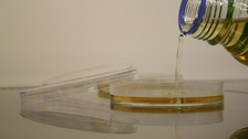 giessen von Agarplatten aus einer Schottflasche in Kulturschalen