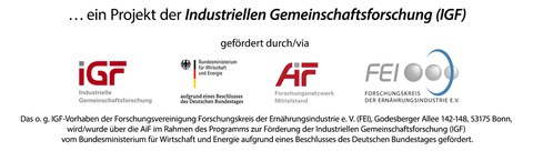 Förderhinweis IGF