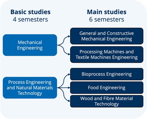 Grafik_Studieninteressierte_eng.jpg