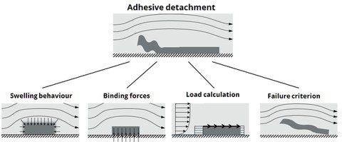 grafic. cleaning sumaltion where "adhesice detachement" is modeled through "Swelling behavior", "Binding forces", "Load calculation" and "Failure criterion"