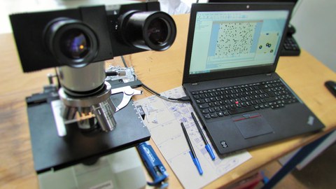 Projekte