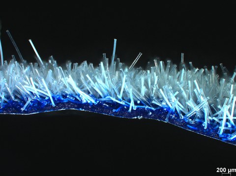 Bioflockstruktur_Mik 2