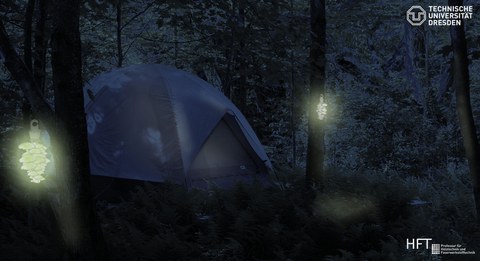 Das Foto zeigt ein Zelt im Wald. Links und rechts davon hängen an Bäumen zwei Lichter.