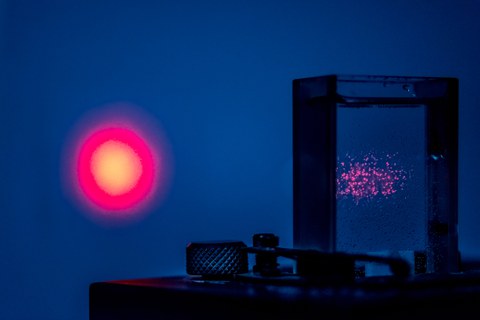 Mikropartikel im Laserlicht 