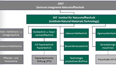 ZINT Struktur