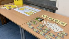 Impressionen vom Internationalen Tag der Frauen und Mädchen in der Wissenschaft