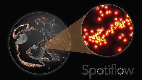 Visualisierung von Spotiflow