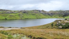 Eine ruhige Landschaft mit einem stillen See, umgeben von Grasfeldern und sanften Hügeln. Die Hügel sind mit üppigem grünem Gras bedeckt und weisen einige Felsvorsprünge auf. Der Himmel ist mit weichen, grauen Wolken bedeckt.