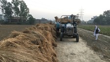 uf einem Feldweg neben einem Feld laden Bauern geerntete Feldfrüchte auf einen Traktor mit Anhänger. Strohhaufen sind ordentlich entlang der Straße aufgehäuft. In der Nähe sind weitere Felder und Bäume unter einem bewölkten Himmel zu sehen.