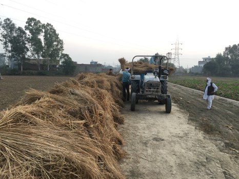 uf einem Feldweg neben einem Feld laden Bauern geerntete Feldfrüchte auf einen Traktor mit Anhänger. Strohhaufen sind ordentlich entlang der Straße aufgehäuft. In der Nähe sind weitere Felder und Bäume unter einem bewölkten Himmel zu sehen.