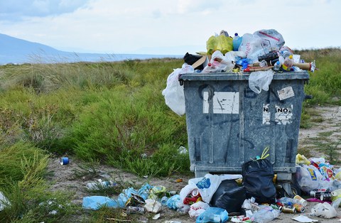 Das Foto zeigt einen überquellenden Müllcontainer der vor einer Wiese steht.