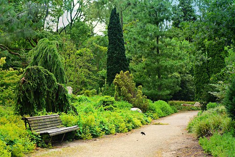 Zu sehen, ist ein Park
