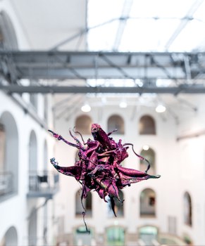 Aljoscha: extraterrestrial origin of life (2022); Installationsansicht der Intervention in der Galerie der Kustodie im Görges-Bau, TU Dresden 