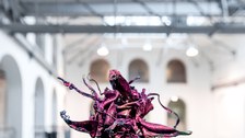 Aljoscha: extraterrestrial origin of life (2022); Installationsansicht der Intervention in der Galerie der Kustodie im Görges-Bau, TU Dresden 