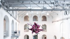 Aljoscha: extraterrestrial origin of life (2022); Installationsansicht der Intervention in der Galerie der Kustodie im Görges-Bau, TU Dresden 