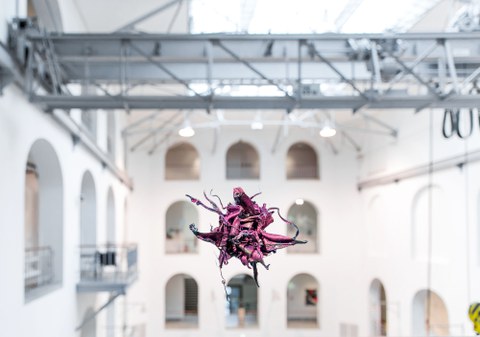 Aljoscha: extraterrestrial origin of life (2022); Installationsansicht der Intervention in der Galerie der Kustodie im Görges-Bau, TU Dresden 