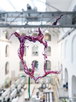 Aljoscha: extraterrestrial origin of life (2022); Installationsansicht der Intervention in der Galerie der Kustodie im Görges-Bau, TU Dresden 