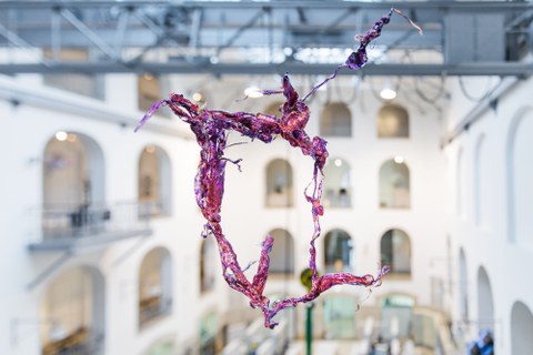 Aljoscha: extraterrestrial origin of life (2022); Installationsansicht der Intervention in der Galerie der Kustodie im Görges-Bau, TU Dresden 