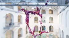 Aljoscha: extraterrestrial origin of life (2022); Installationsansicht der Intervention in der Galerie der Kustodie im Görges-Bau, TU Dresden 