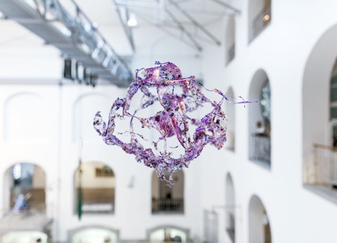 Aljoscha: extraterrestrial origin of life (2022); Installationsansicht der Intervention in der Galerie der Kustodie im Görges-Bau, TU Dresden 