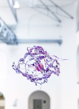 Aljoscha: extraterrestrial origin of life (2022); Installationsansicht der Intervention in der Galerie der Kustodie im Görges-Bau, TU Dresden 