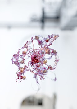 Aljoscha: extraterrestrial origin of life (2022); Installationsansicht der Intervention in der Galerie der Kustodie im Görges-Bau, TU Dresden 
