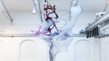Aljoscha: extraterrestrial origin of life (2022); Installationsansicht der Intervention in der Galerie der Kustodie im Görges-Bau, TU Dresden 