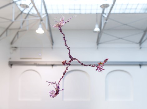 Aljoscha: extraterrestrial origin of life (2022); Installationsansicht der Intervention in der Galerie der Kustodie im Görges-Bau, TU Dresden 