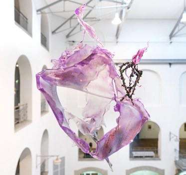 Aljoscha: extraterrestrial origin of life (2022); Installationsansicht der Intervention in der Galerie der Kustodie im Görges-Bau, TU Dresden 
