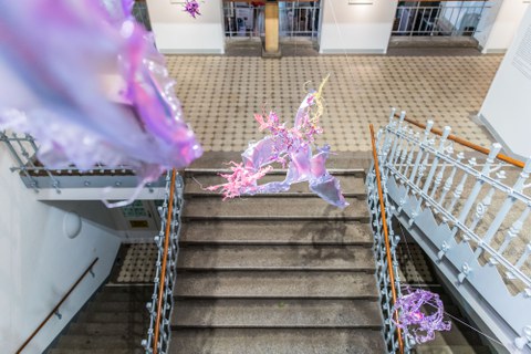 Aljoscha: extraterrestrial origin of life (2022); Installationsansicht der Intervention in der Galerie der Kustodie im Görges-Bau, TU Dresden 