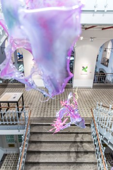 Aljoscha: extraterrestrial origin of life (2022); Installationsansicht der Intervention in der Galerie der Kustodie im Görges-Bau, TU Dresden 