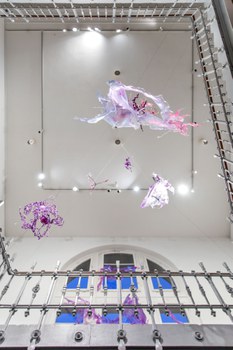 Aljoscha: extraterrestrial origin of life (2022); Installationsansicht der Intervention in der Galerie der Kustodie im Görges-Bau, TU Dresden 