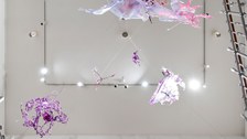 Aljoscha: extraterrestrial origin of life (2022); Installationsansicht der Intervention in der Galerie der Kustodie im Görges-Bau, TU Dresden 