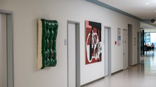 Kunst und Krebs Beier