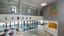 Kunst und Krebs Durighello