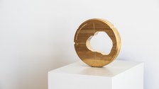 Kunst und Krebs Schmelzer