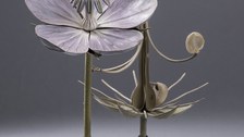Blütenmodell eines Storchenschnabels (Geranium spec.) hergestellt aus Papiermarché in der Verlagsanstalt R. Brendel, Berlin um 1890 (TU Dresden, Forstbotanische Sammlung)
