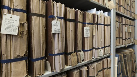 Das Herbarium Dresdense