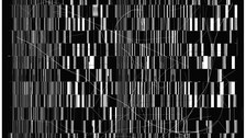Babel rough Languages. 
